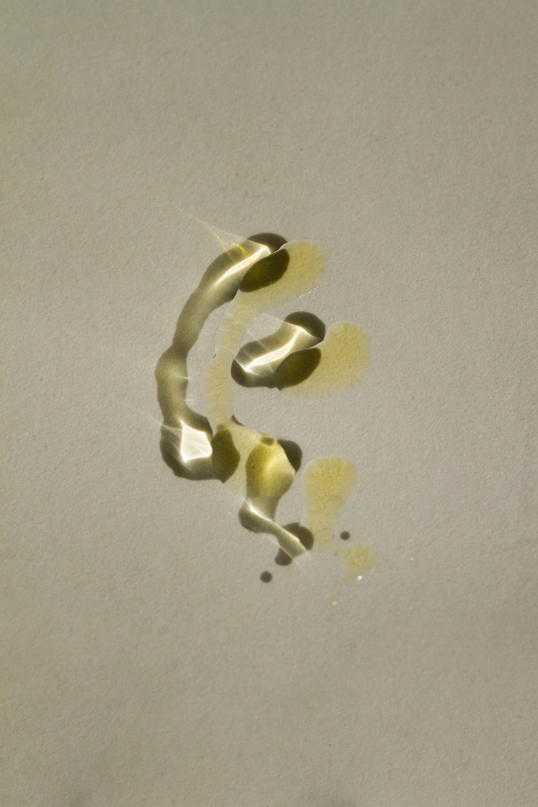 Summer Solace Tallow - Sacred Scents Spiritual Balm – Clary Sage, Fennel & Tulsi Holy Basil - Tallow Balm