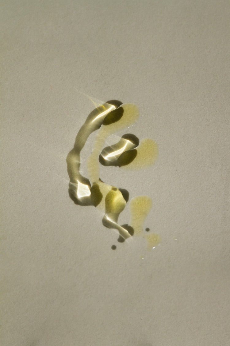 Summer Solace Tallow - Sacred Scents Spiritual Balm – Clary Sage, Fennel & Tulsi Holy Basil - Tallow Balm