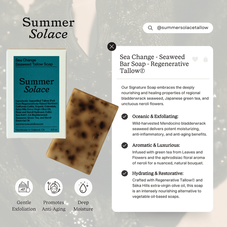 Summer Solace Tallow - Sea Change Seaweed Bar – Neroli & Bladderwrack for Mineral - Rich Cleansing - Tallow Soap