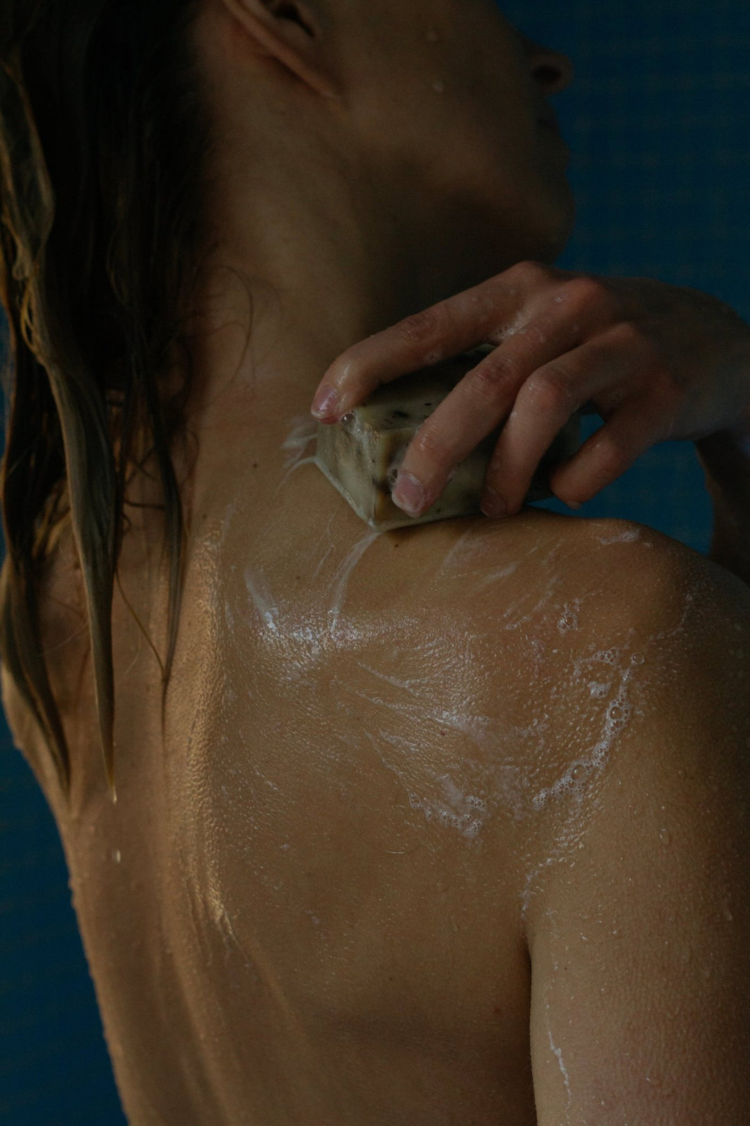 Summer Solace Tallow - Sea Change Seaweed Bar Soap - Regenerative Tallow® - Tallow Soap