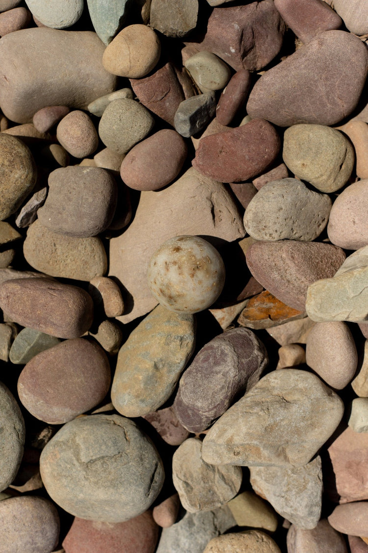 Summer Solace Tallow - Sea Change – Seaweed Sphere Soap | Bladderwrack & Neroli - Tallow Soap