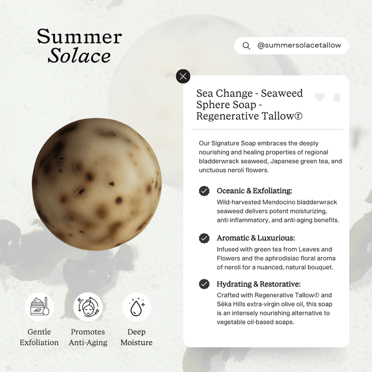 Summer Solace Tallow - Sea Change – Seaweed Sphere Soap | Bladderwrack & Neroli - Tallow Soap