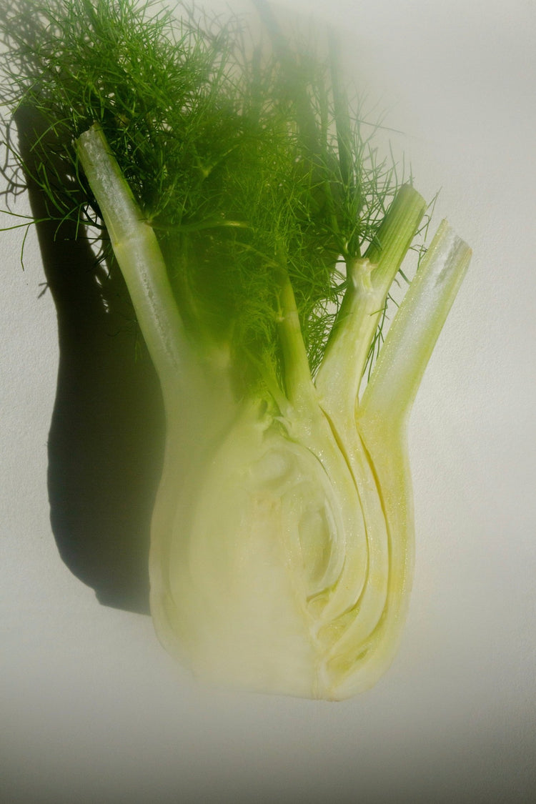 Summer Solace Tallow - SEELE – Ritual Sea Salt Scrub | Celtic Salt®, Choya Nākh, Sage & Coriander - Tallow Scrub