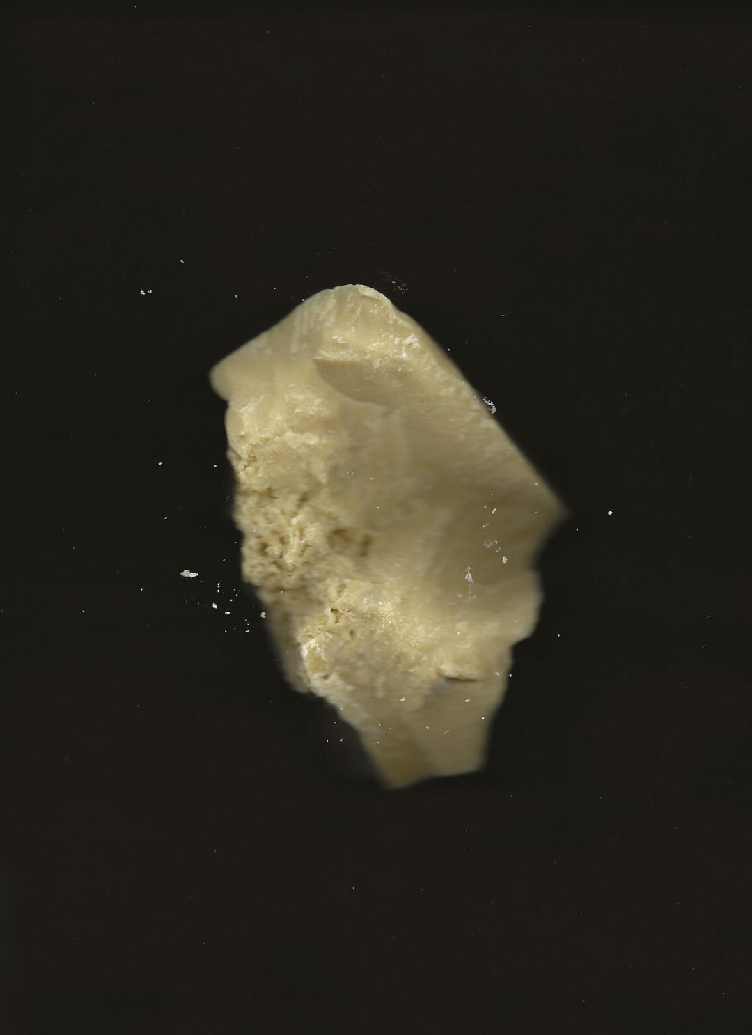 Summer Solace Tallow - Cacao Rose Cuticle, Lip, and Brow Balm - Regenerative Tallow™ - Balm