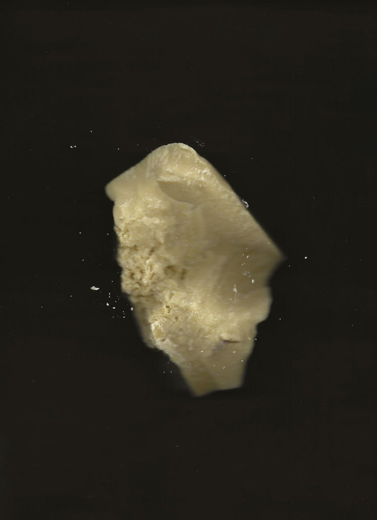 Summer Solace Tallow - Cacao Rose Cuticle, Lip, and Brow Balm - Regenerative Tallow™ - Balm