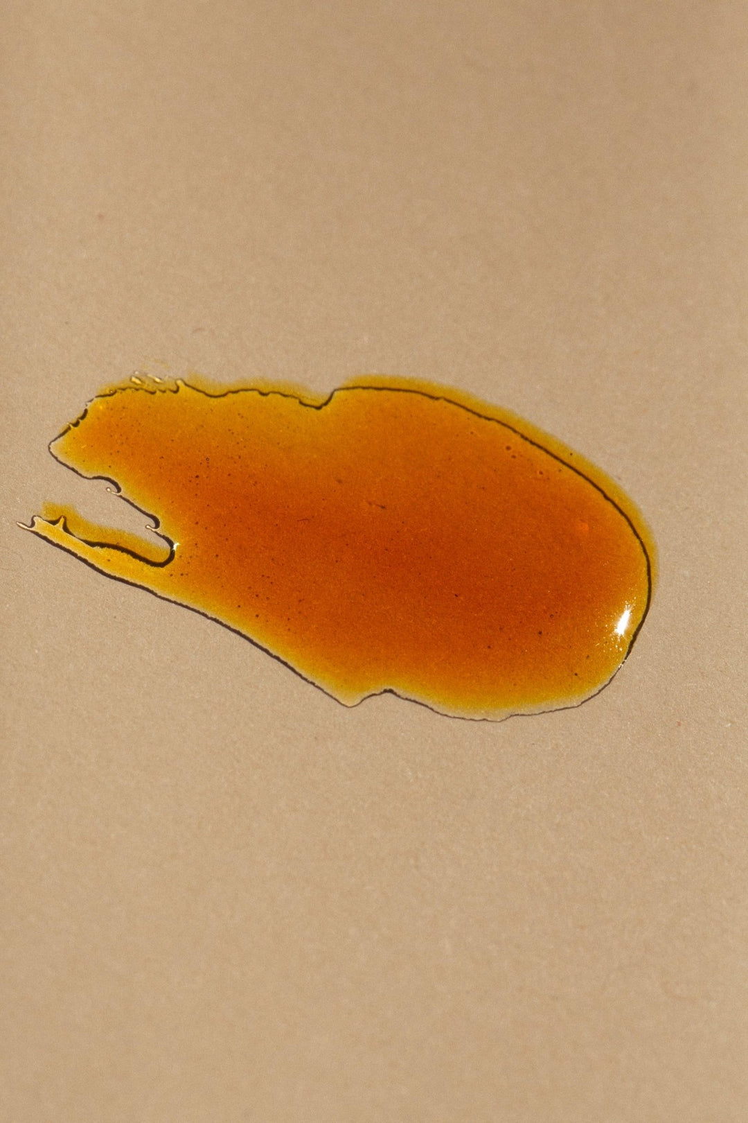 Summer Solace Tallow - Cardamom & Blood Orange Lip Balm- Regenerative Tallow™ - Balm