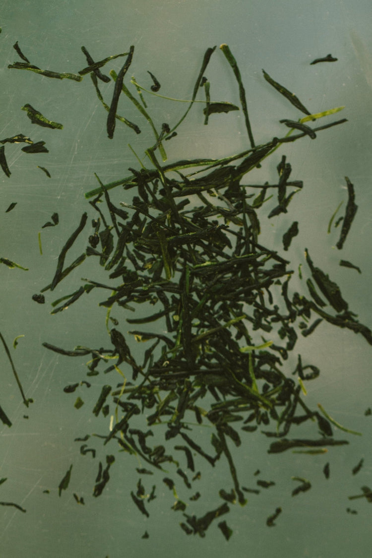 Summer Solace Tallow - Yuzu & Sencha Soap – Invigorating Toning Bar with E3Live® - Tallow Soap