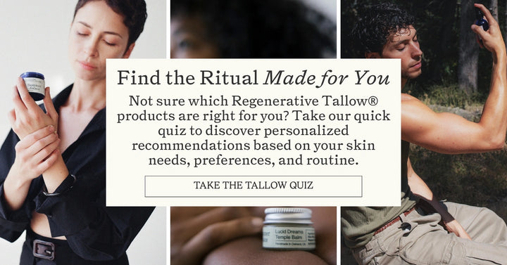 Take the Quiz + Get 10% Off