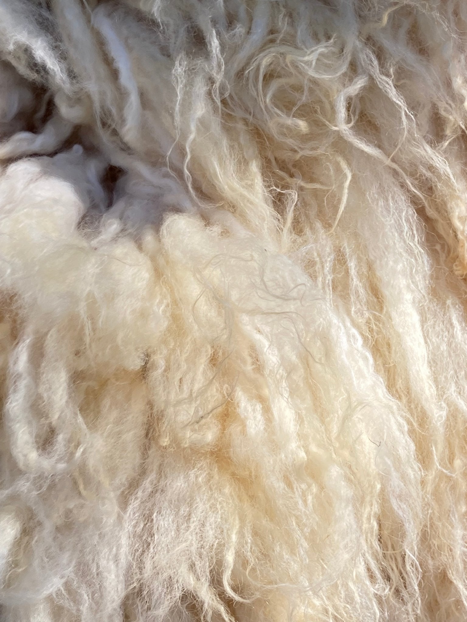 Summer Solace Tallow - Climate Beneficial™ Wool Batting | 100% Northern California Wool - Climate Beneficial Goods