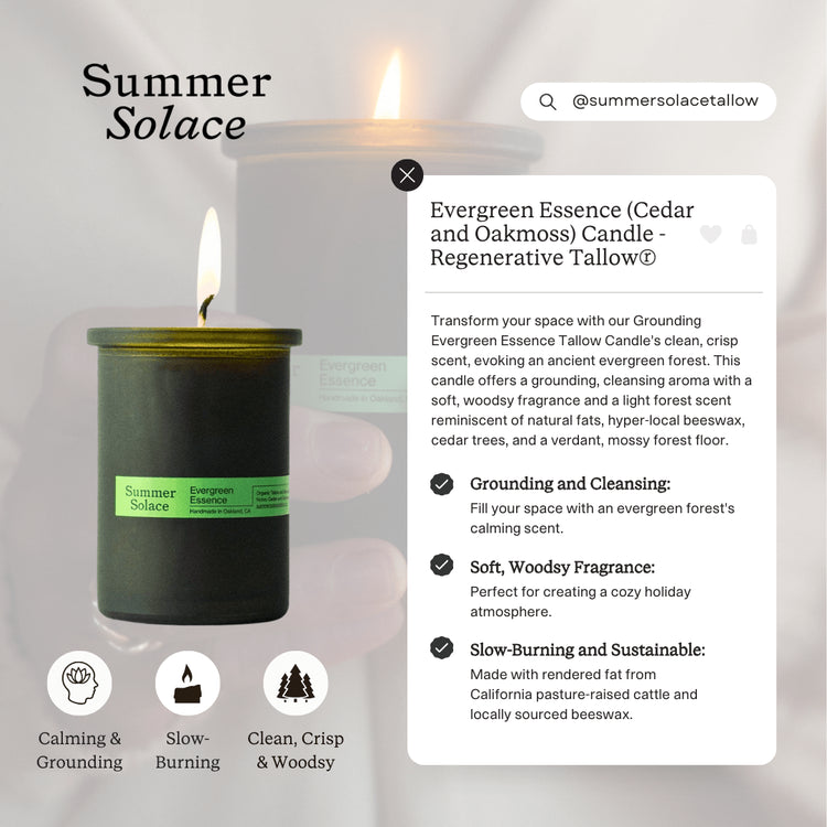 Summer Solace Tallow - Evergreen Essence (Cedar and Oakmoss) Candle - Regenerative Tallow® - Tallow Candle