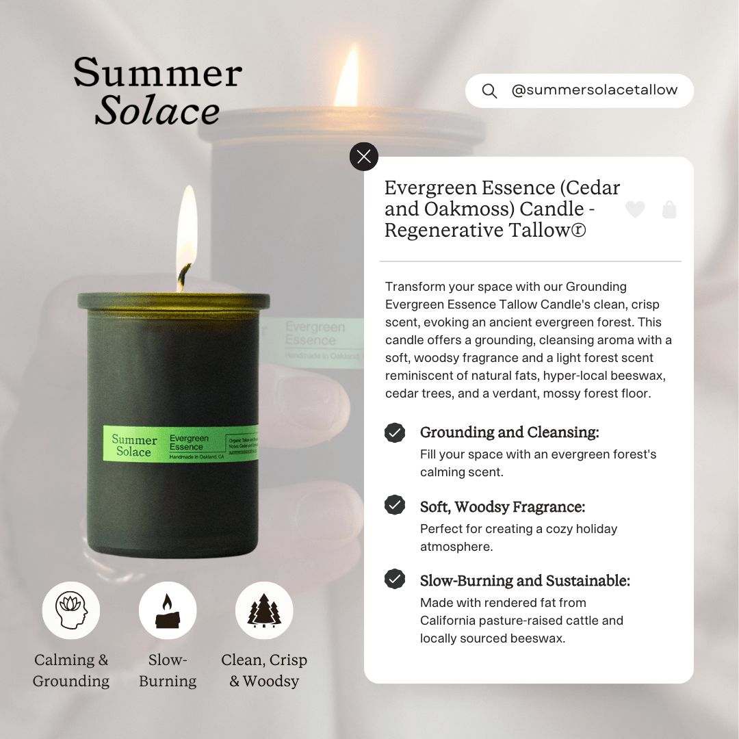 Summer Solace Tallow - Evergreen Essence (Cedar and Oakmoss) Candle - Regenerative Tallow® - Tallow Candle