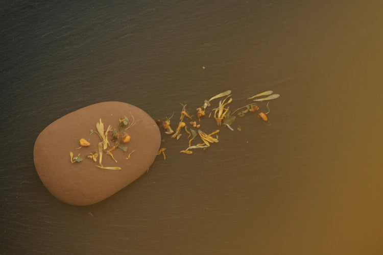 Summer Solace Tallow - Leaves and Flowers Tea - Gift Sets