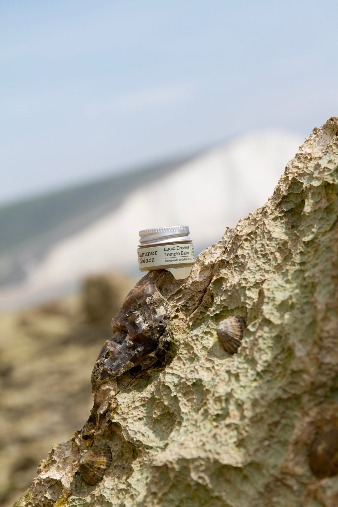 Summer Solace Tallow - Lucid Dreams & Meditation Balm - Mugwort, White Lotus, Piñon Pine - Tallow Balm