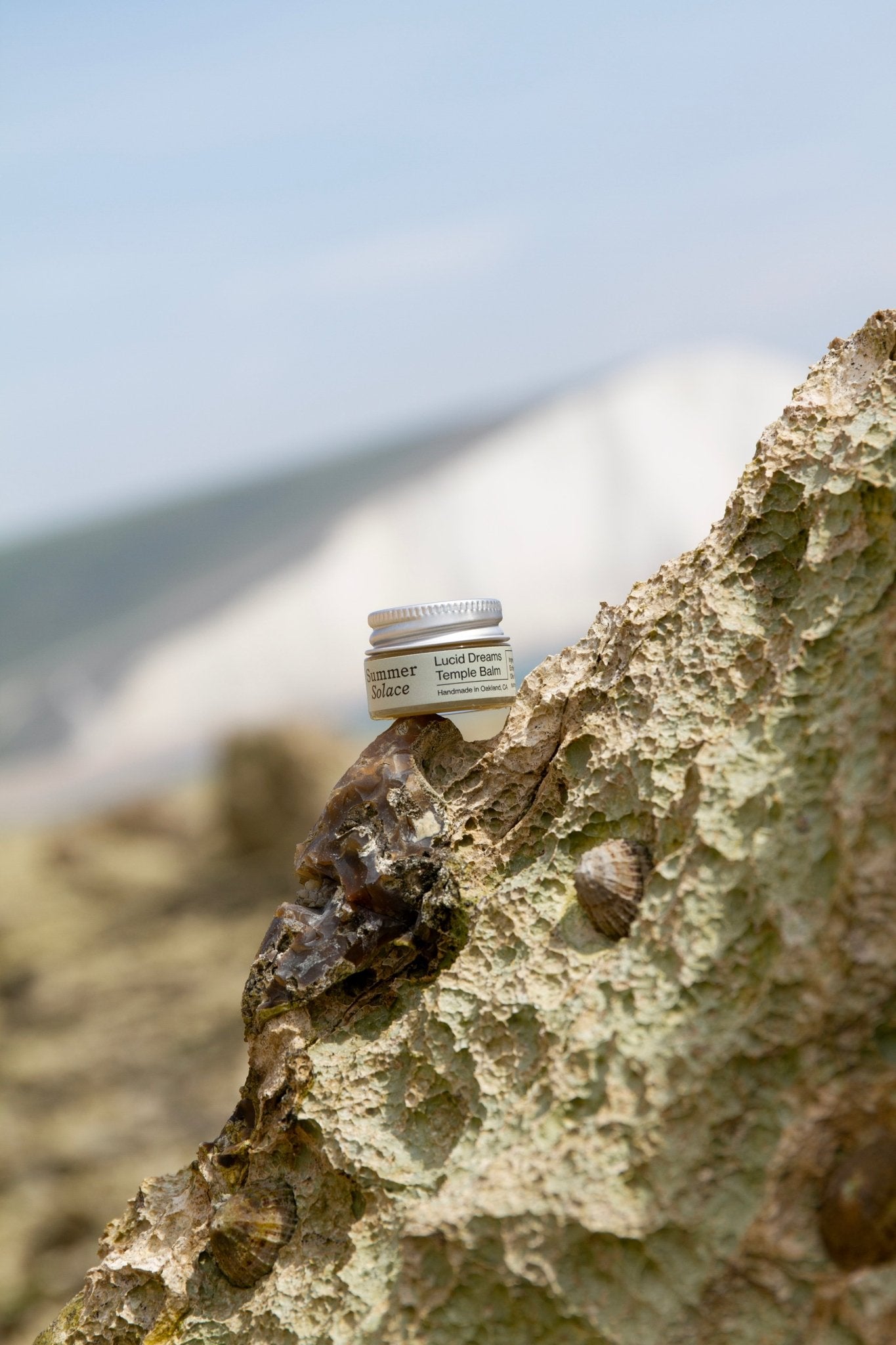 Summer Solace Tallow - Lucid Dreams & Meditation Balm - Mugwort, White Lotus, Piñon Pine - Tallow Balm