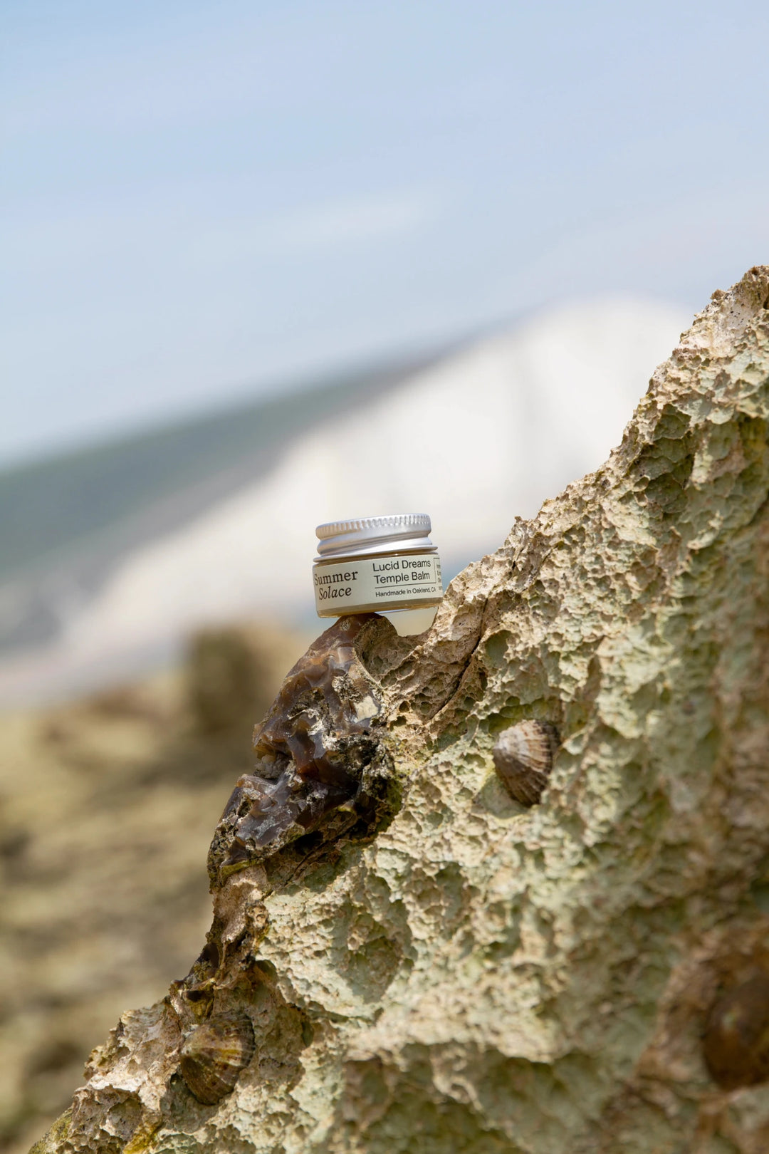Summer Solace Tallow - Lucid Dreams & Meditation Balm - Mugwort, White Lotus, Piñon Pine - Tallow Balm