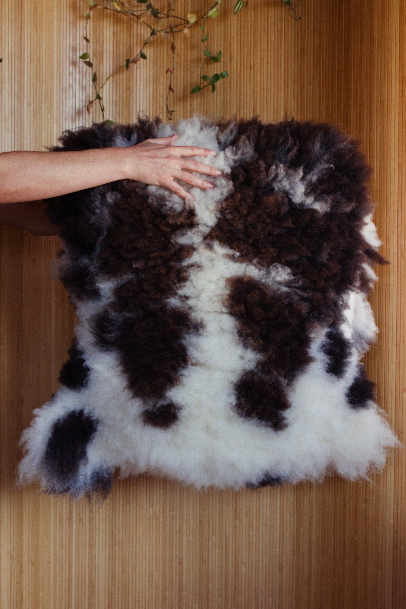 Summer Solace Tallow - Northern California Climate Beneficial™ Sheepskins - Climate Beneficial Goods