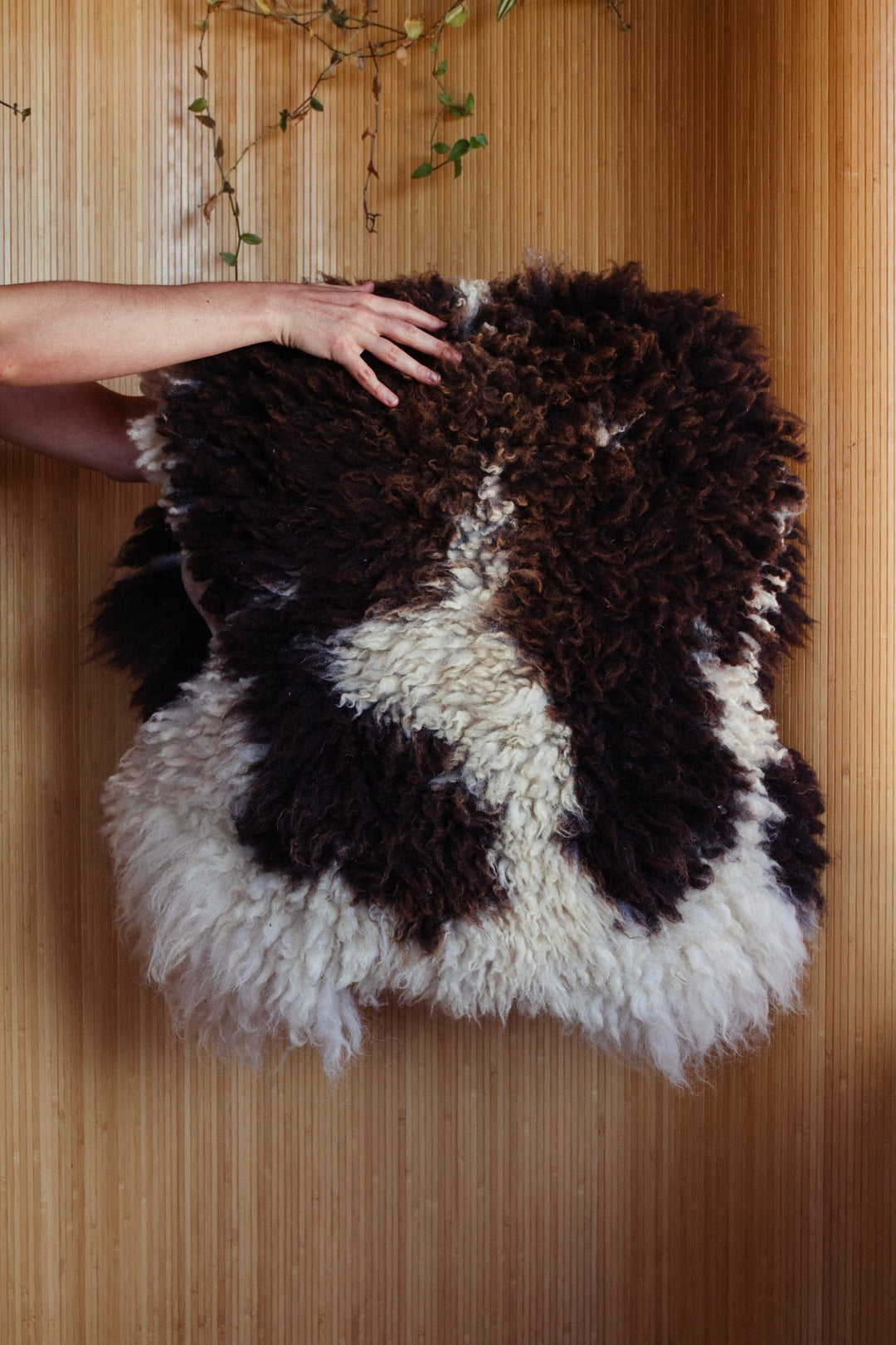 Summer Solace Tallow - Northern California Climate Beneficial™ Sheepskins - Climate Beneficial Goods