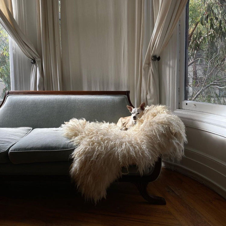 Summer Solace Tallow - Northern California Climate Beneficial™ Sheepskins - Climate Beneficial Goods