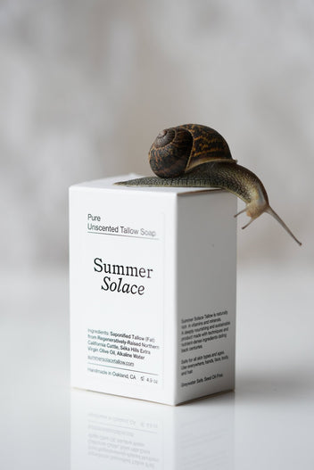 Summer Solace Tallow - PURE Tallow Set - Balm