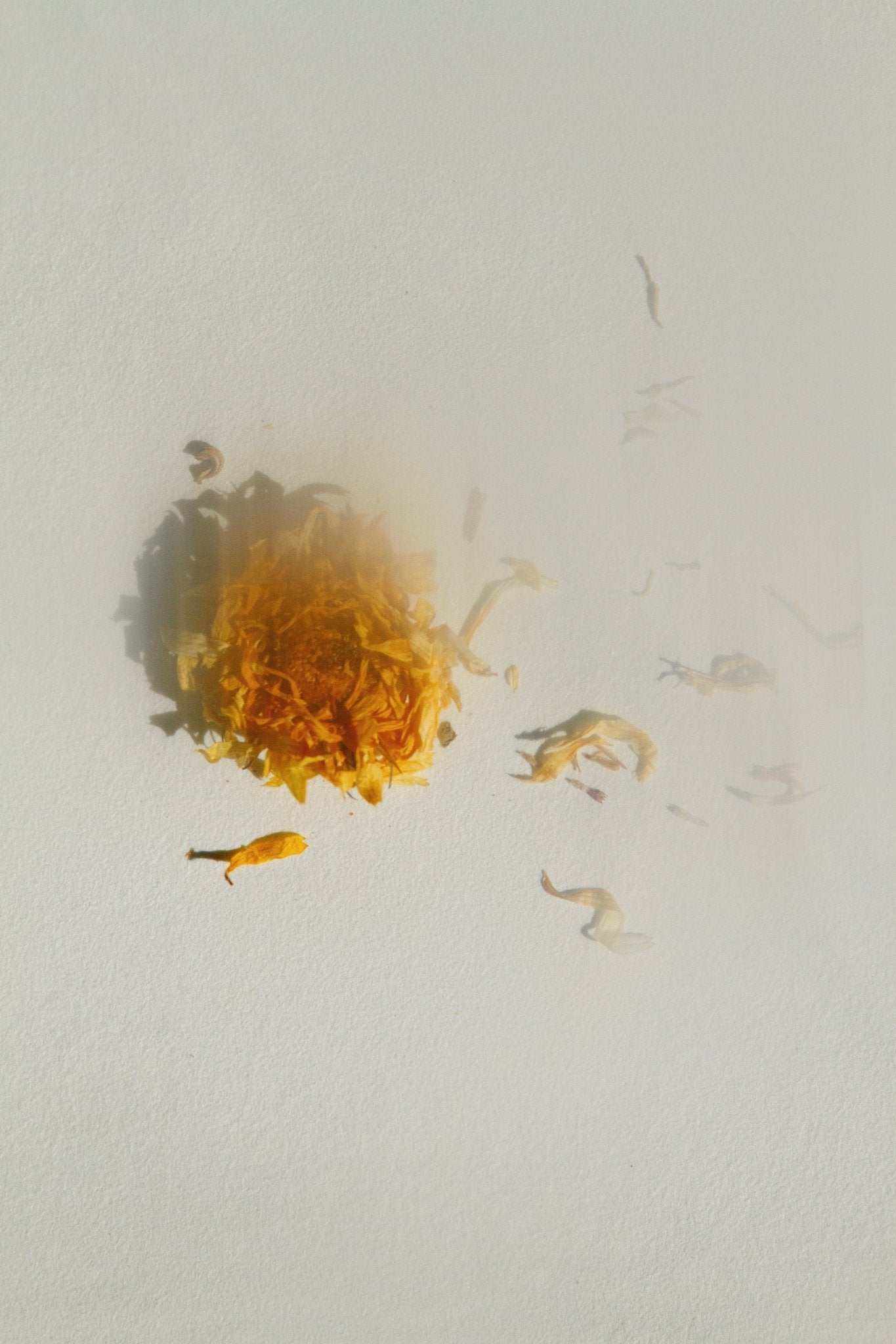 Organic calendula extract and olive oil skincare ingredients