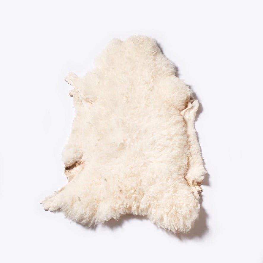 Summer Solace Tallow - Regenerative Sheepskins – Climate Beneficial™ Wool from Northern California - Climate Beneficial Goods