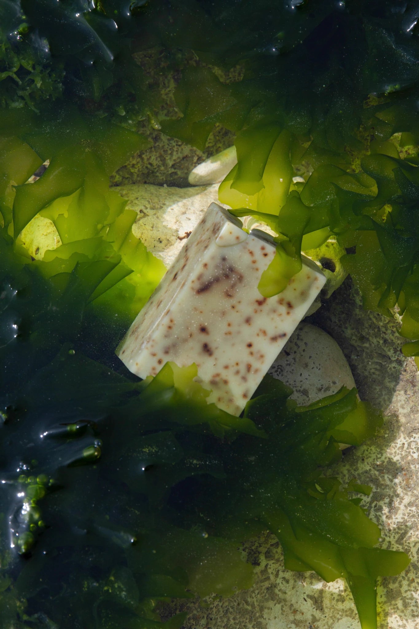 Summer Solace Tallow - Sea Change Seaweed Bar – Neroli & Bladderwrack for Mineral-Rich Cleansing - Tallow Soap