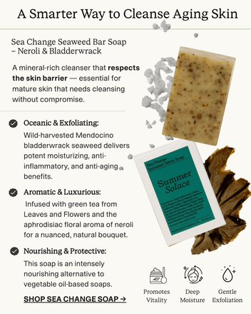 Summer Solace Tallow - Sea Change Seaweed Bar – Neroli & Bladderwrack for Mineral - Rich Cleansing - Tallow Soap