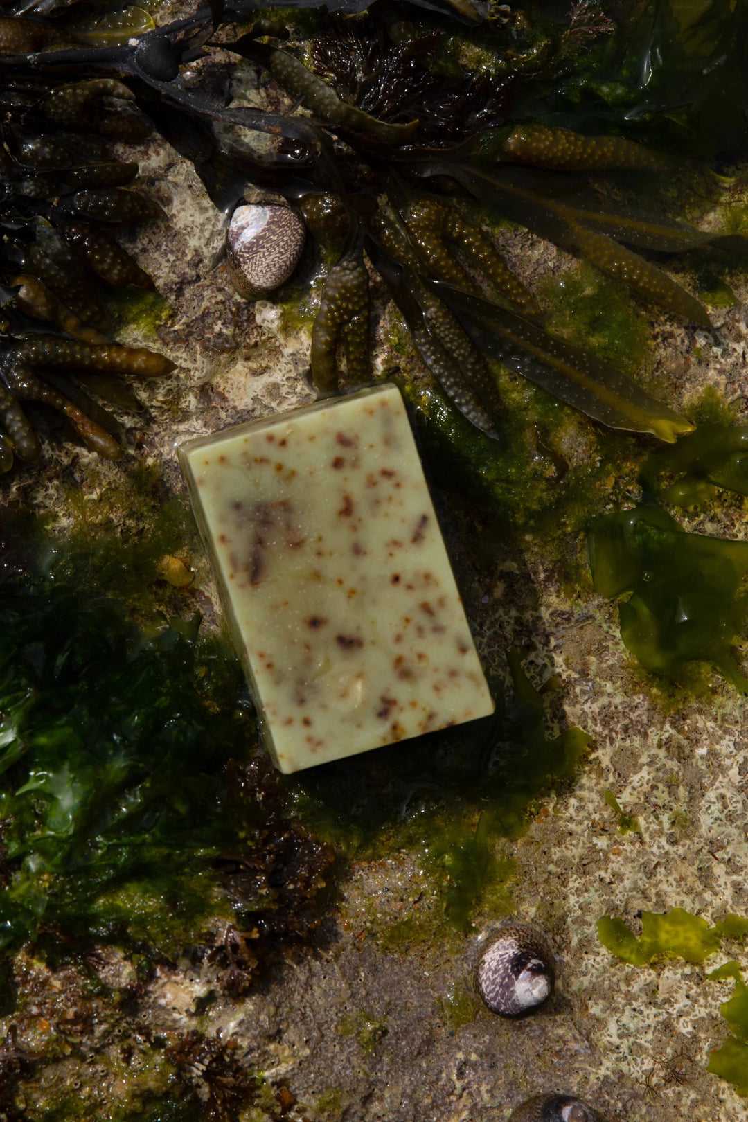 Summer Solace Tallow - Sea Change Seaweed Bar – Neroli & Bladderwrack for Mineral-Rich Cleansing - Tallow Soap
