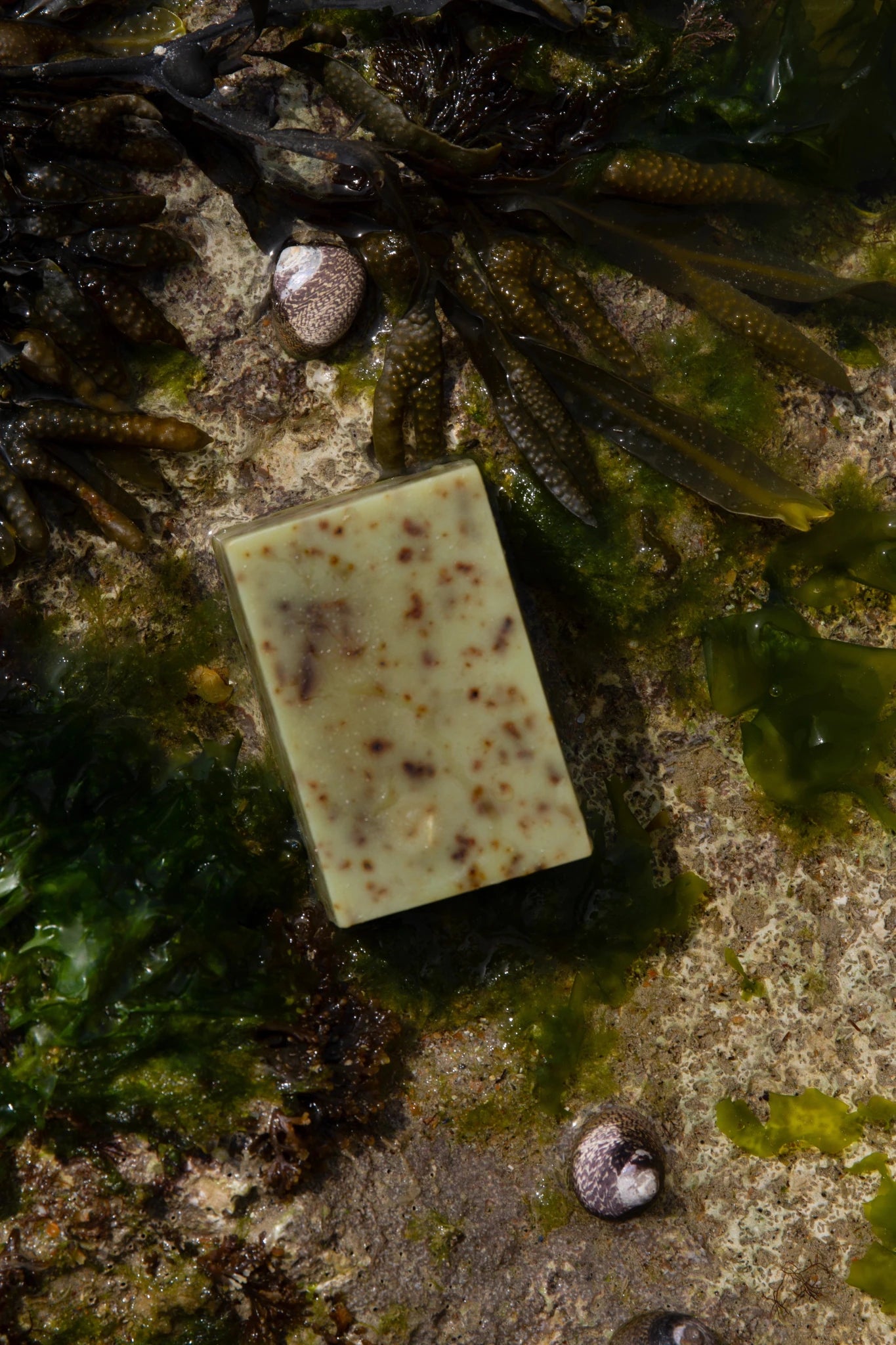 Summer Solace Tallow - Sea Change Seaweed Bar – Neroli & Bladderwrack for Mineral-Rich Cleansing - Tallow Soap