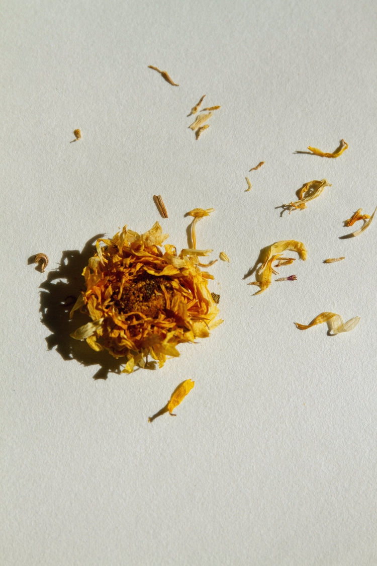 Summer Solace Tallow - SEELE – Ritual Sea Salt Scrub | Celtic Salt®, Choya Nākh, Sage & Coriander - Tallow Scrub