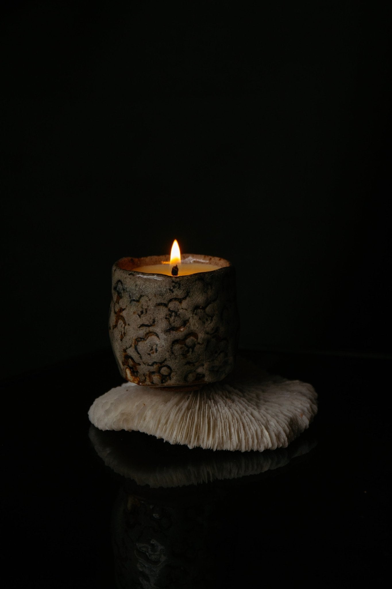 Summer Solace Tallow - Souchong Debut Earthen Tallow Candle – Fog - Glazed Regional Clay 4 oz - Tallow Candle