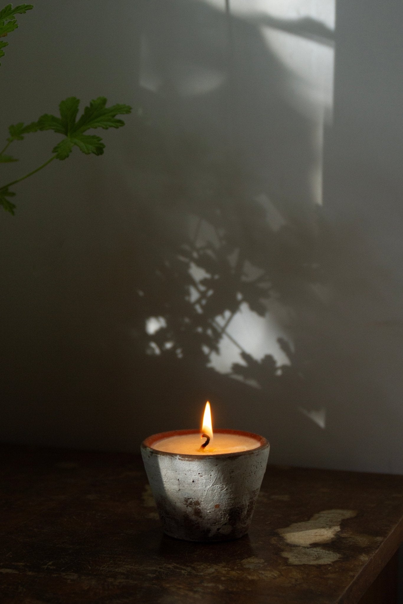 Summer Solace Tallow - The Earthen Tallow Candle - Smoke Brushed Terracotta - Tallow Candle