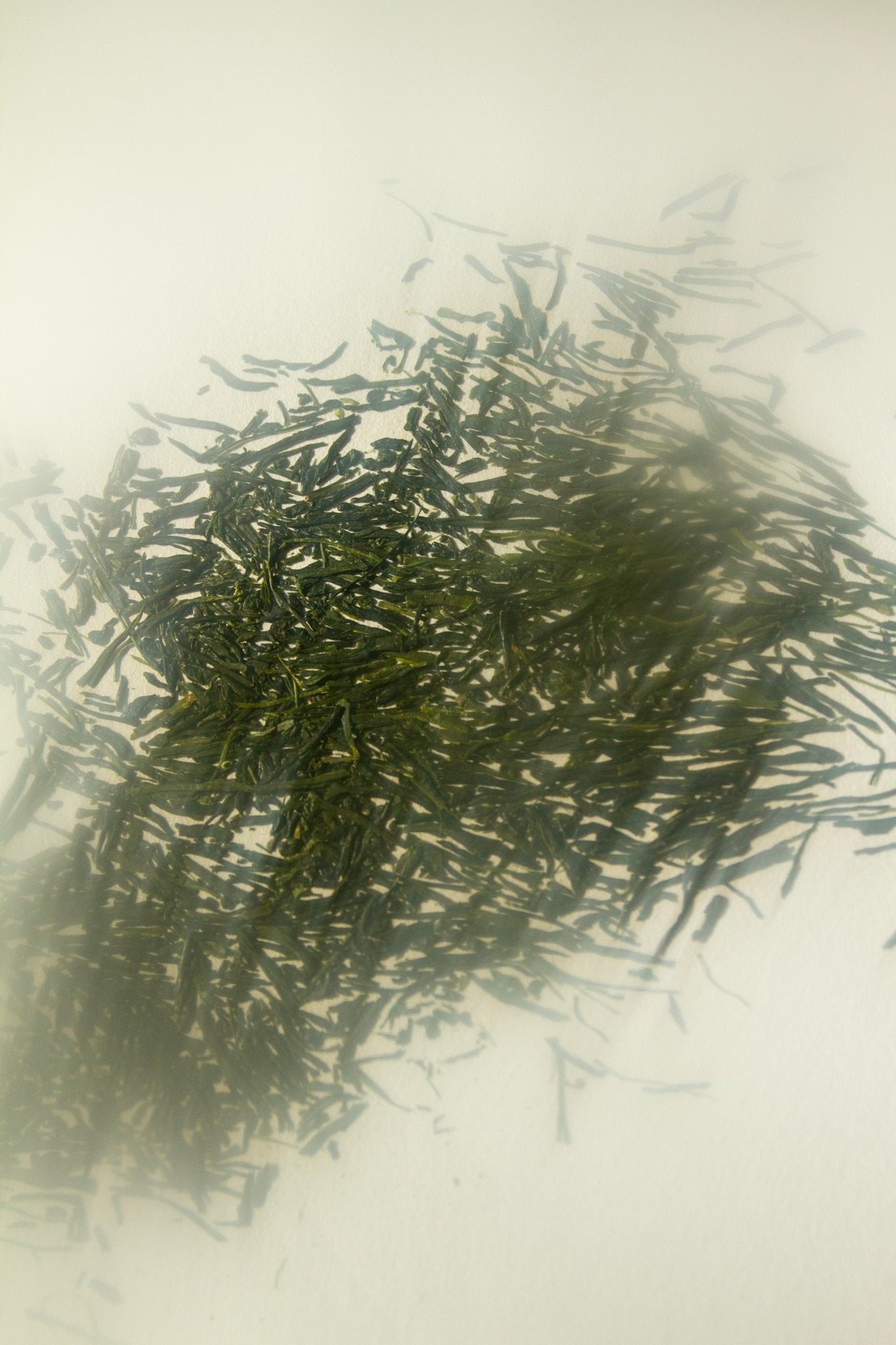Summer Solace Tallow - Yuzu & Sencha Soap – Invigorating Toning Bar with E3Live® - Tallow Soap