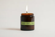 Summer Solace Tallow - Evergreen Essence (Cedar and Oakmoss) Candle - Regenerative Tallow™ - Candle
