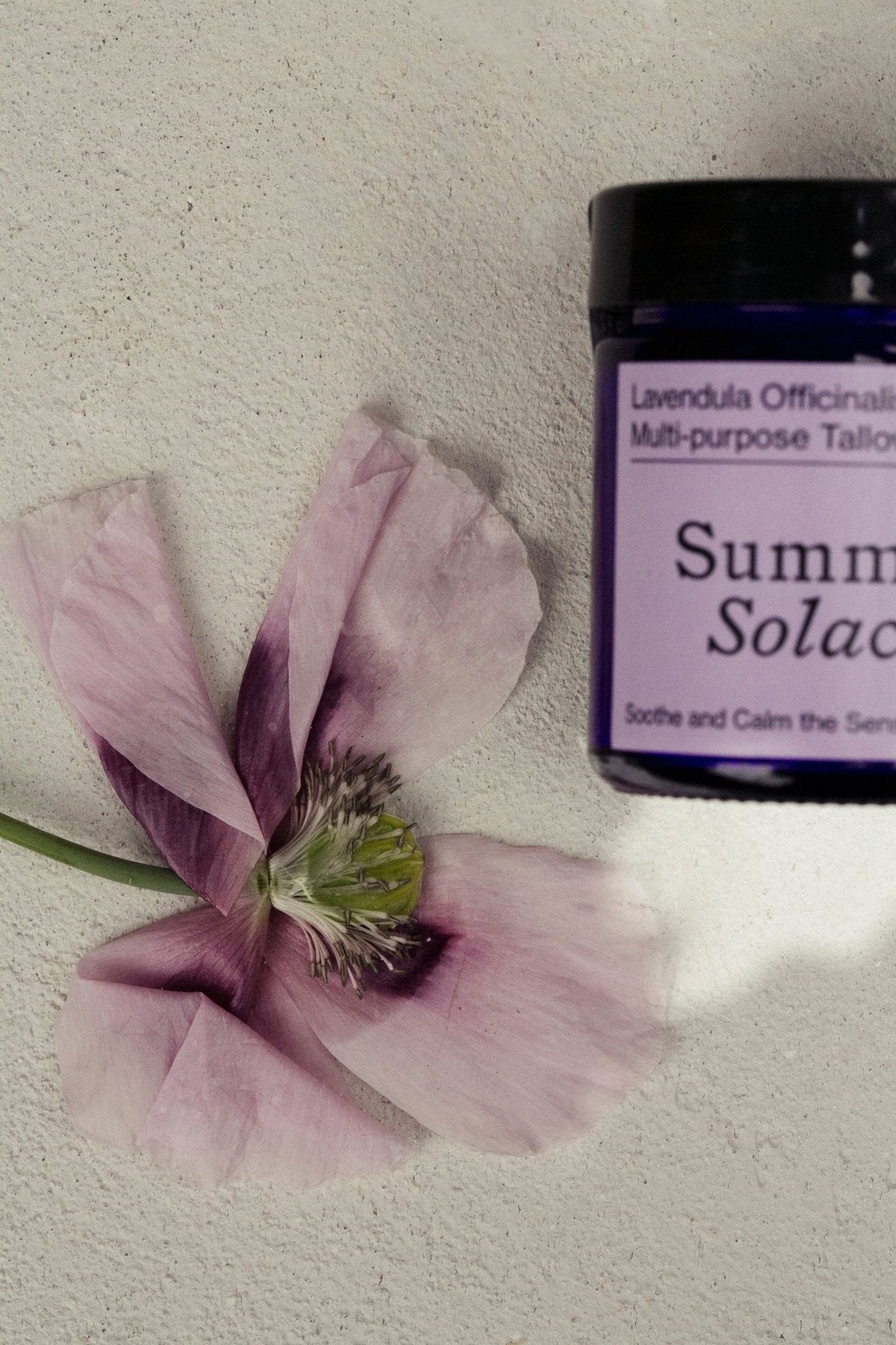 Lavendula Officinalis Balm - Regenerative Tallow™ Balm —offering hydration, calm, and emotional grounding in every use.