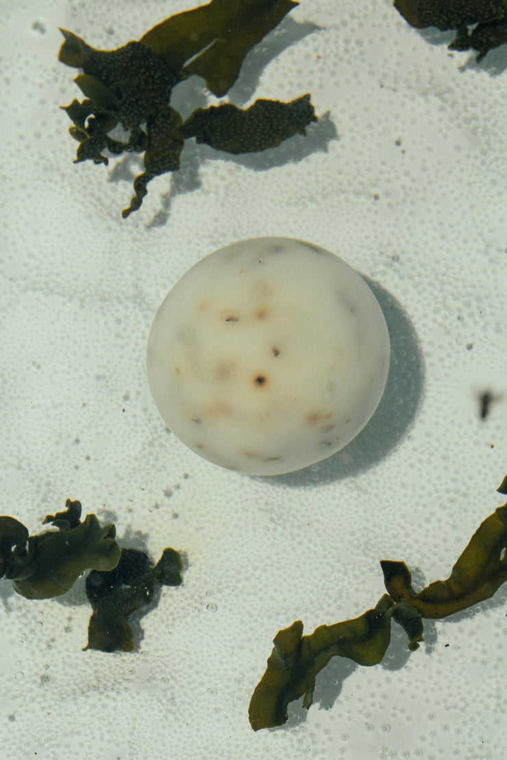Summer Solace Tallow - Sea Change Seaweed Sphere Soap - Regenerative Tallow™ - Soap
