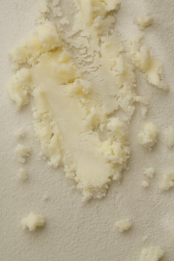 Summer Solace Tallow - Seele Salt Scrub - Regenerative Tallow™ - Scrub