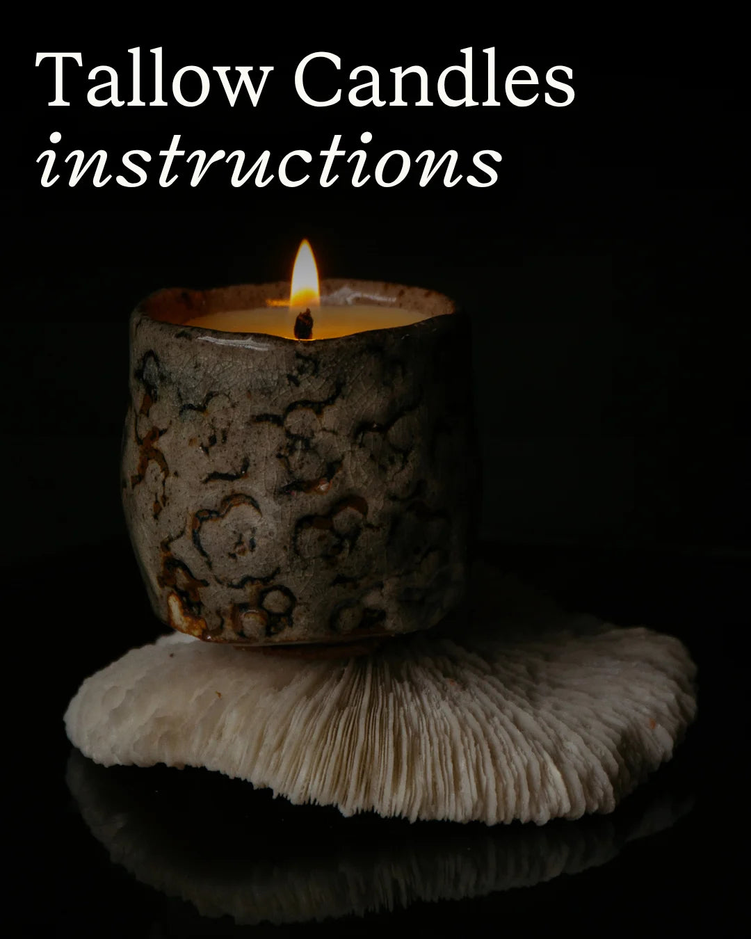 Tallow Candle Set – Core Collection | Full Size Trio application step 1
