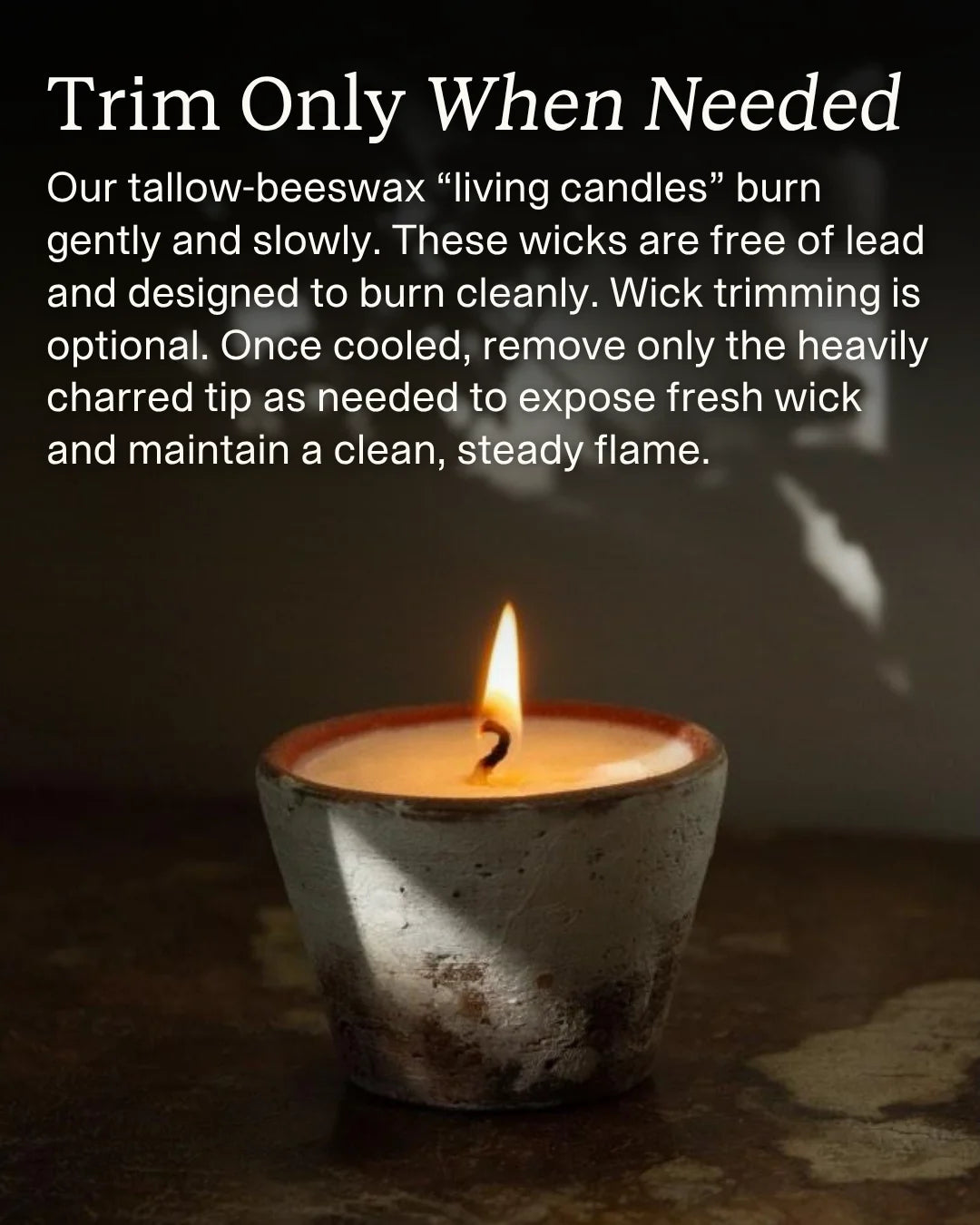 Tallow Candle Set – Core Collection | Full Size Trio application step 3