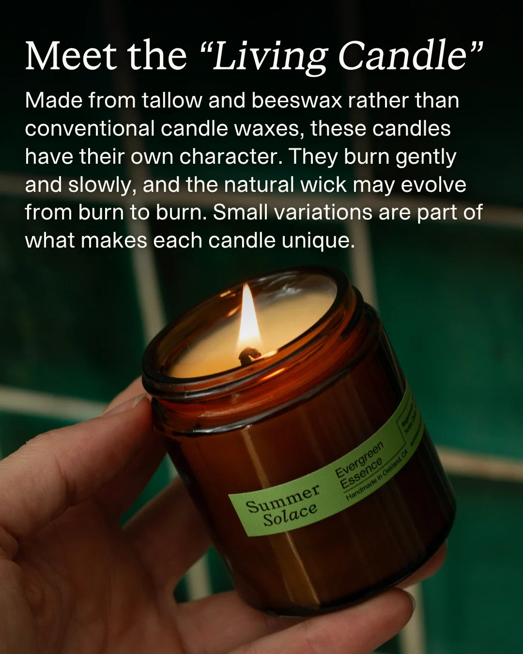 Tallow Candle Set – Core Collection | Full Size Trio application step 4
